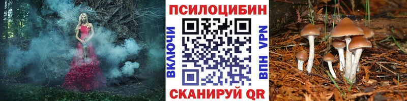 мориарти наркотические препараты Анжеро-Судженск Псилоцибиновые грибы ЛСД