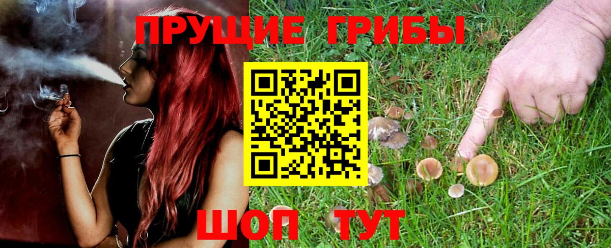 Псилоцибиновые грибы Magic Shrooms  Псилоцибиновые грибы MAGIC MUSHROOMS  Анжеро-Судженск  Вход с VPN 